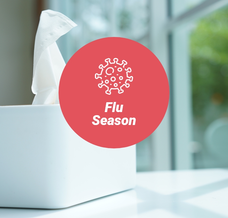 Flu Season