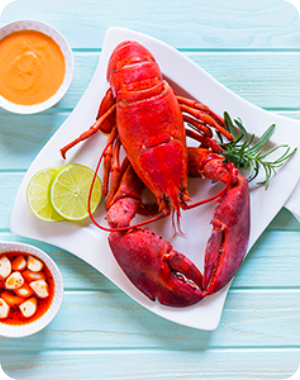 Tout sur le homard