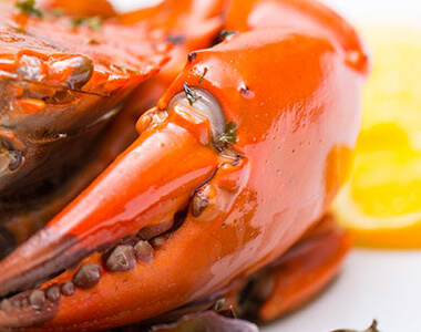 Tout savoir sur les fruits de mer