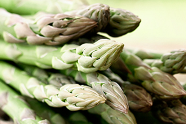 Asperges