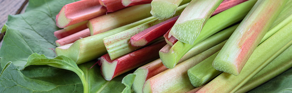 rhubarb