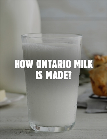 How Ontario Milk is Made