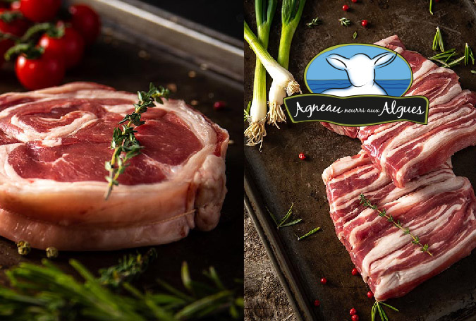 Seaweed fed lamb