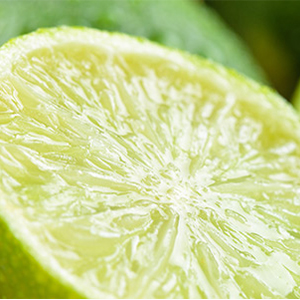 Tout savoir sur la lime