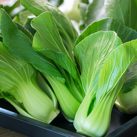 Légumes feuilles: Bok choy