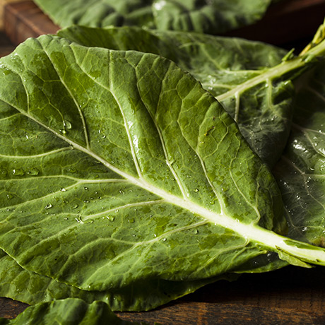 Légumes feuilles: Collard