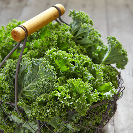 Légumes feuilles: Borécole / chou frisé / kale