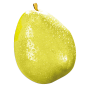 Poire Anjou