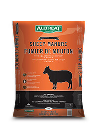 Fumier de mouton