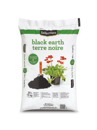 Terre noire