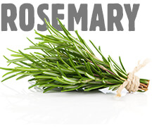 Rosemary