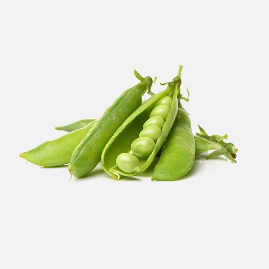 Edamame (fève de soya)