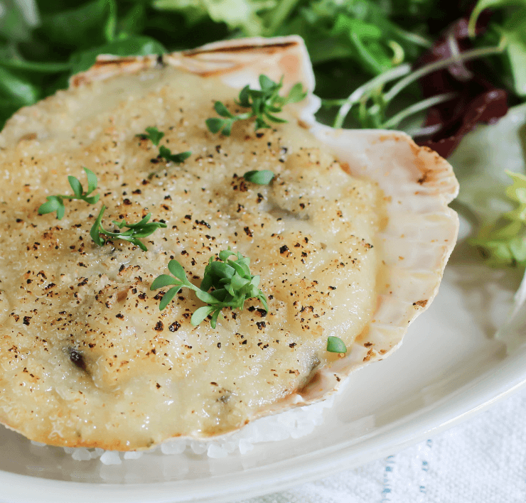 coquilles St-Jacques