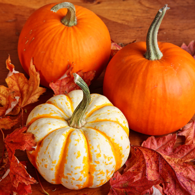 C'est l'Halloween, êtes-vous prêts?