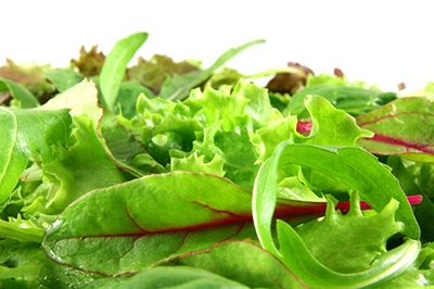 Mesclun et croustillant de brie aux anchois