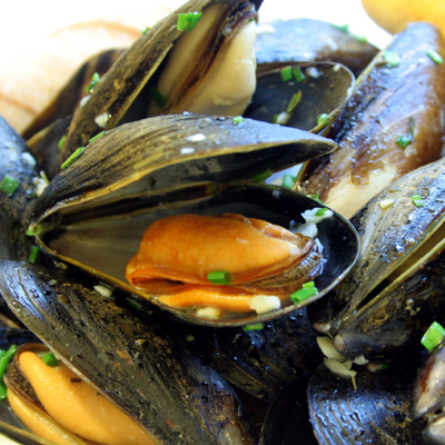 Moules bleues dans leur écrin