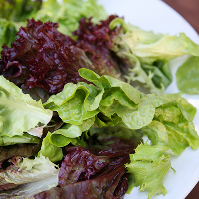 Red and Green Salad