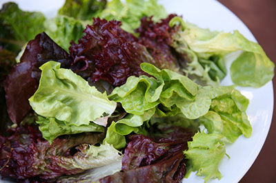 Salade aux huîtres fumées, coulis de tomates