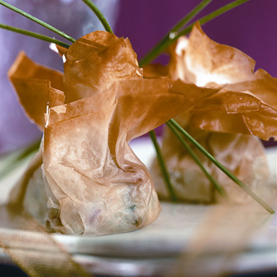 Baluchon de poulet à la pistache et aux canneberges