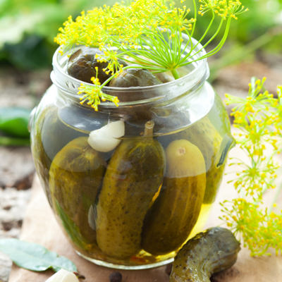 Dill Pickles