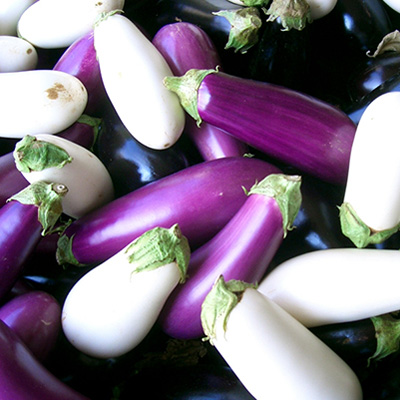 Provençal Fanned Eggplant