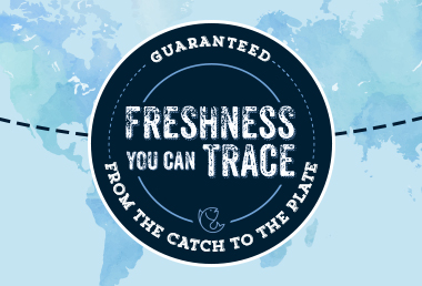 Freshness you can trace