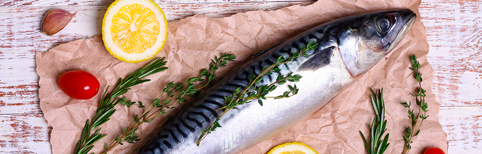Salmon