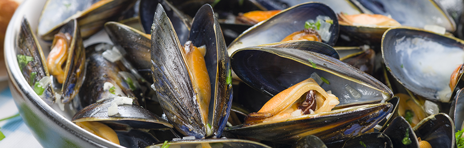 Cuisiner les moules