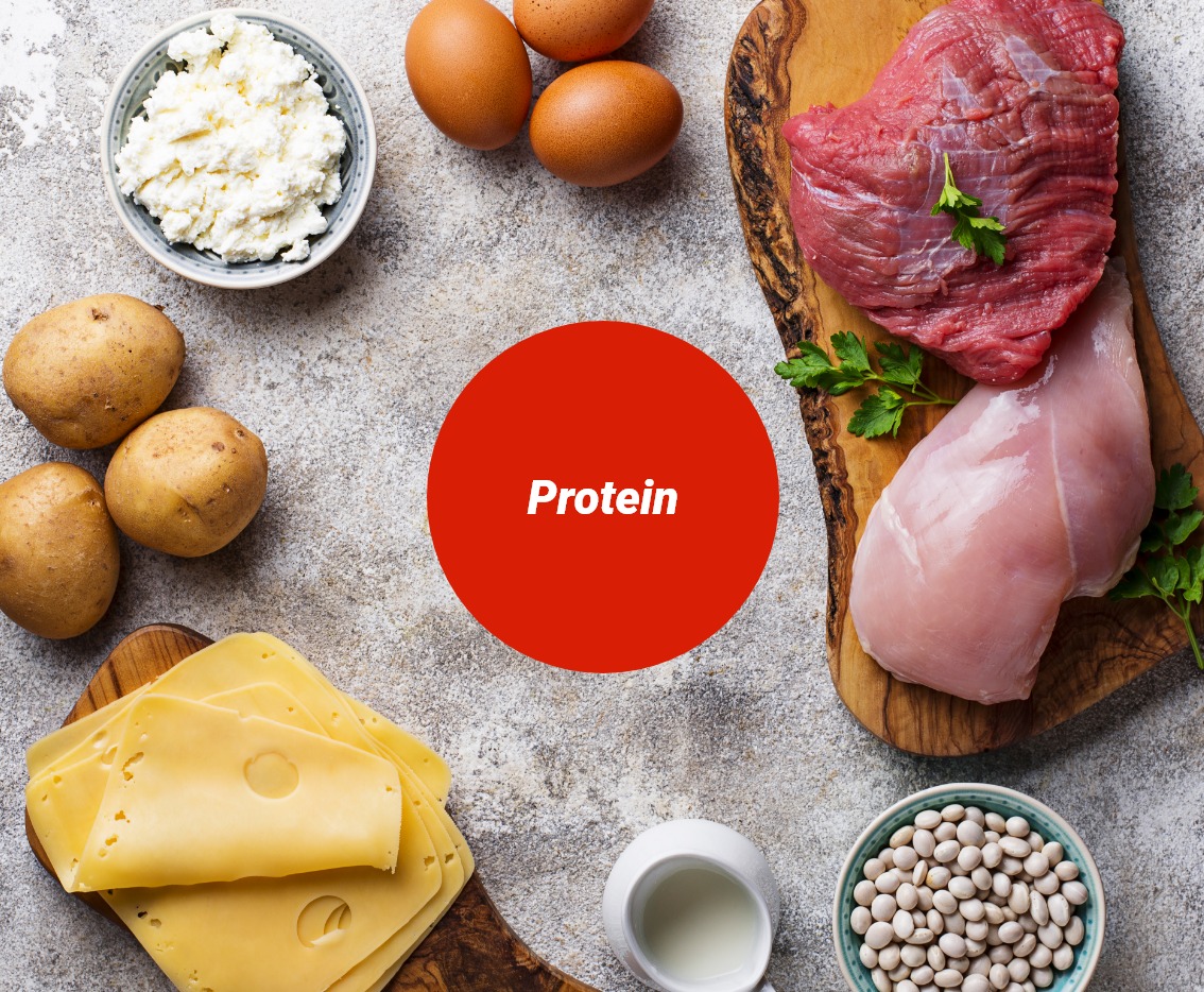 Protein